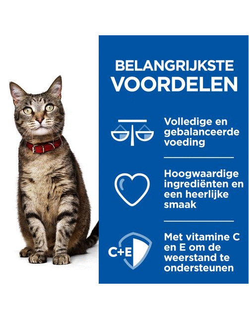 Hill's Feline Maaltijdzakjes Adult Healthy Cuisine - Kattenvoer - Kip Zalm 12x80 g