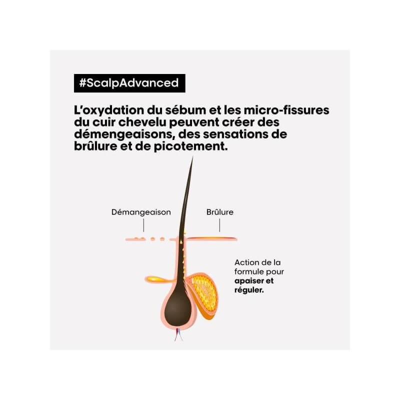Duo dermo-régulateur Scalp Advanced L'Oréal Professionnel 300ML