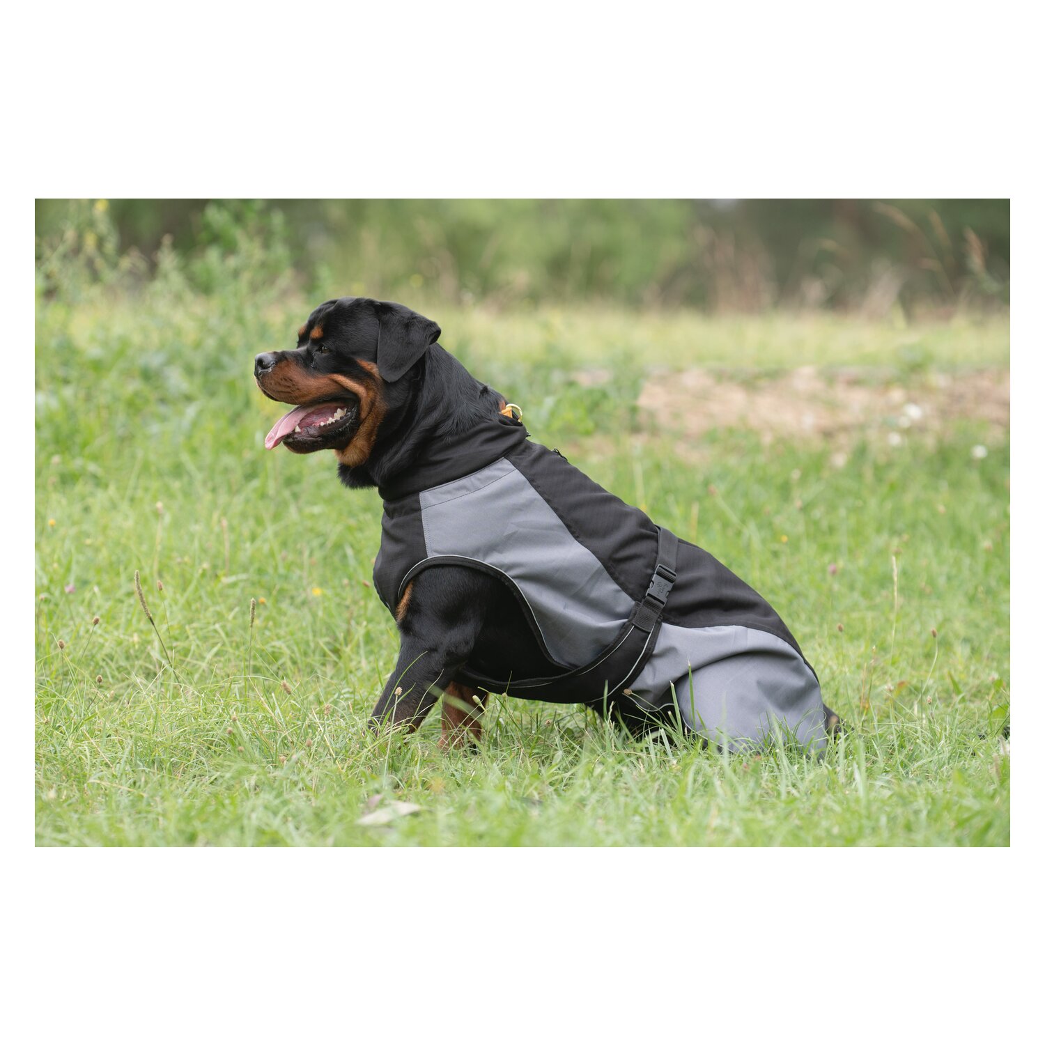 pawberry Hundemantel Jena - grey/black