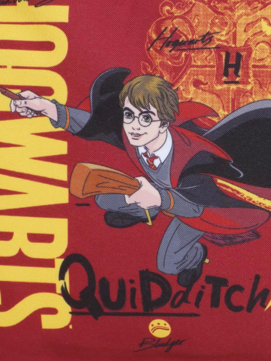 Sac À dos Harry Potter Quidditch XS