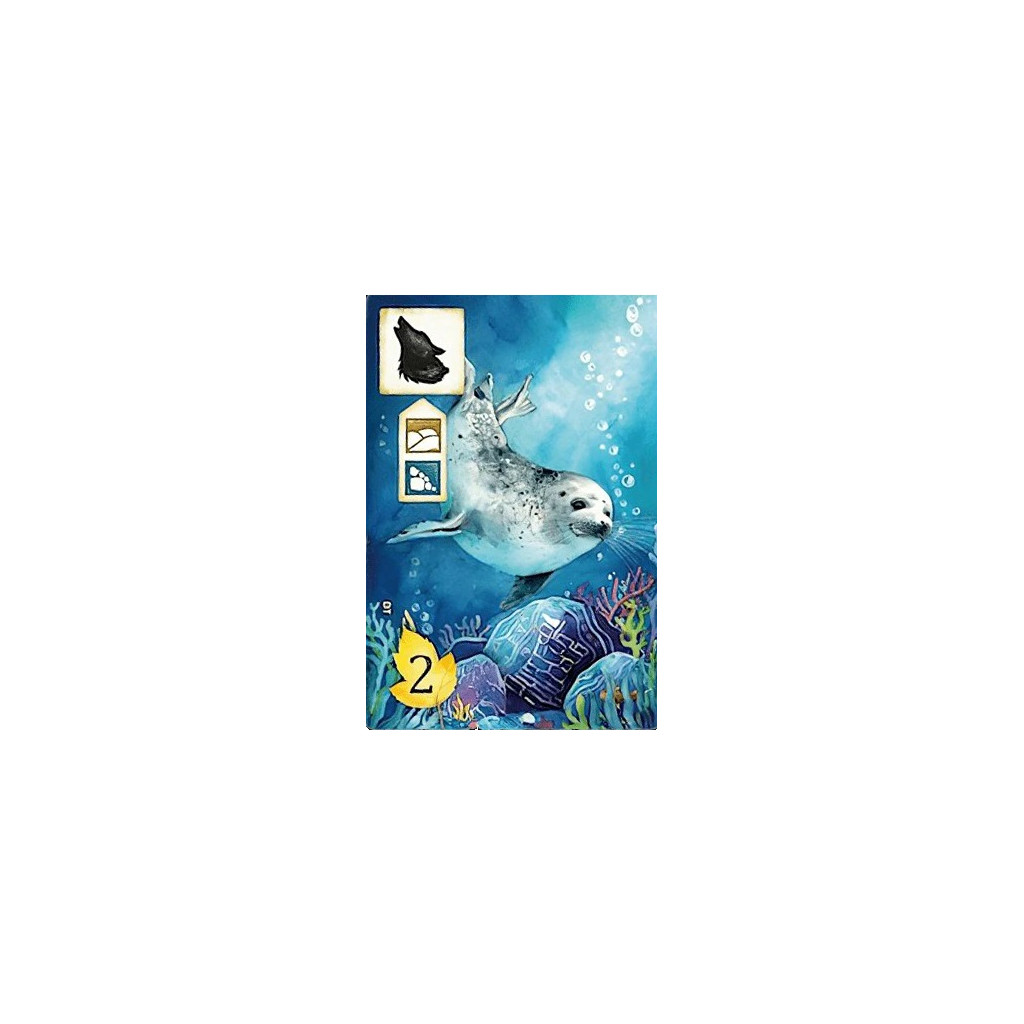 Meadow - Pack Promo