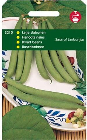 groentezaad Stamslabonen laag (Phaseolus vulgaris 'Saxa Limburgse')