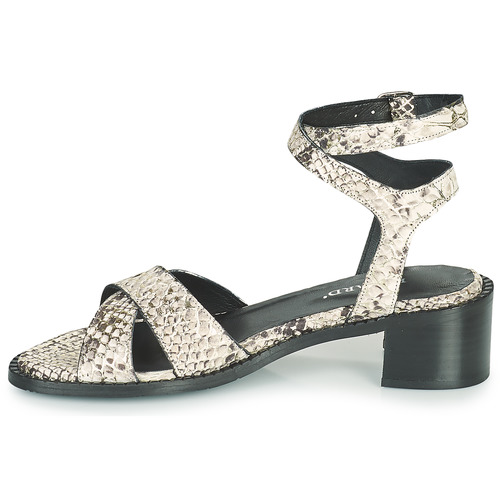 Regard - ELISE1 V3 EROTICA IVORY - Gris
