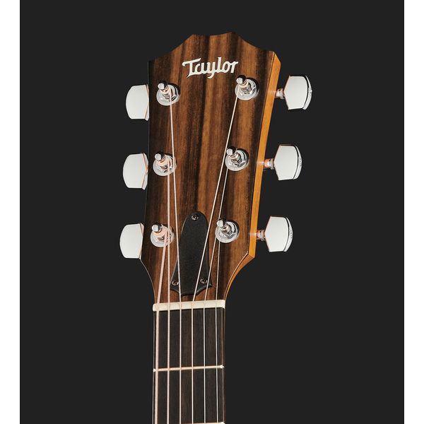 Taylor 212ce Spruce/Walnut