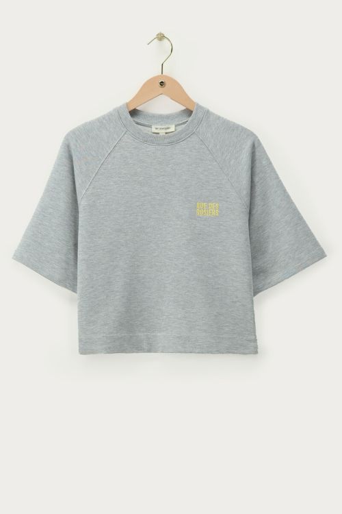Lichtgrijze sweater met korte mouwen 