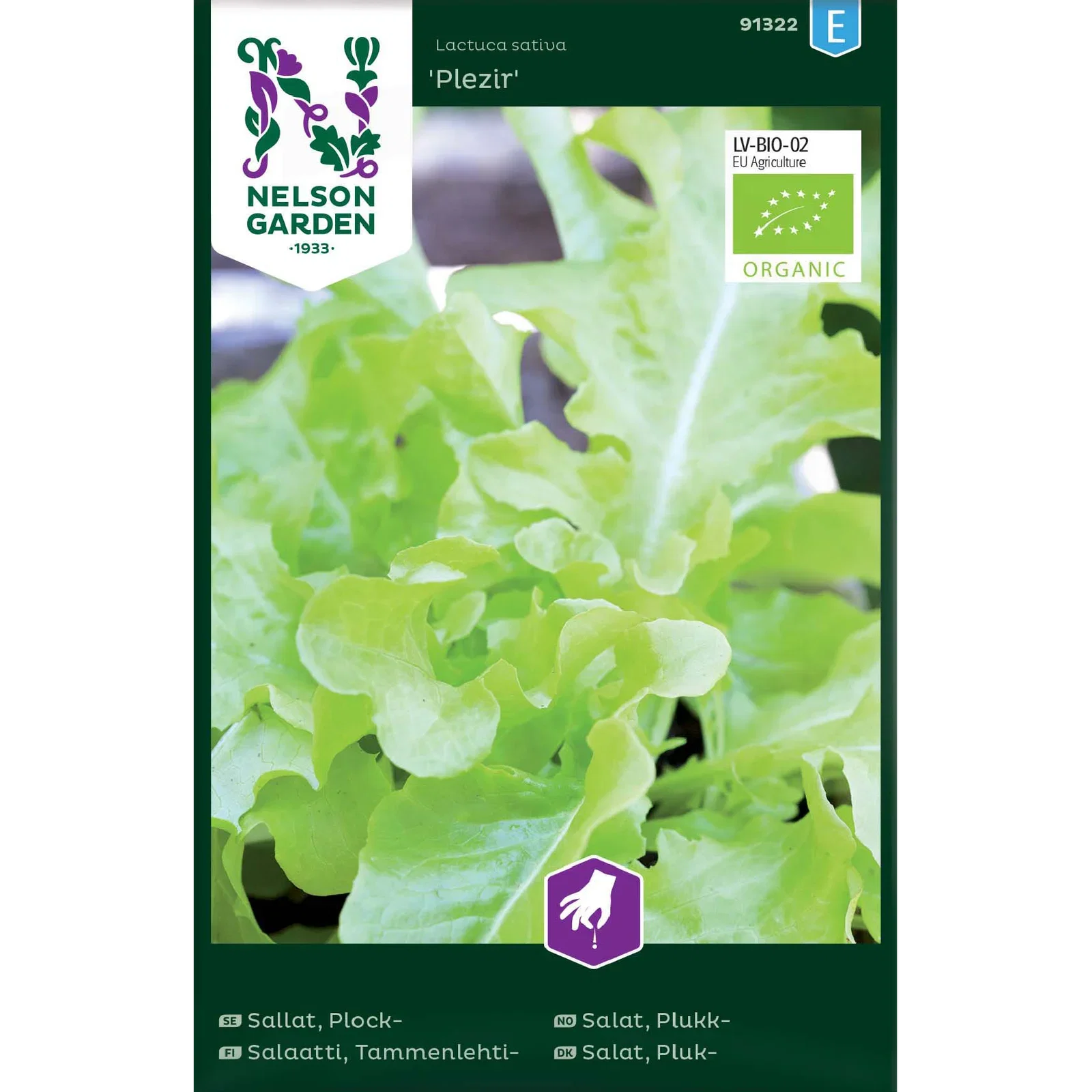 Lactuca sativa 'Plezir' Plukksalat 'Plezir'