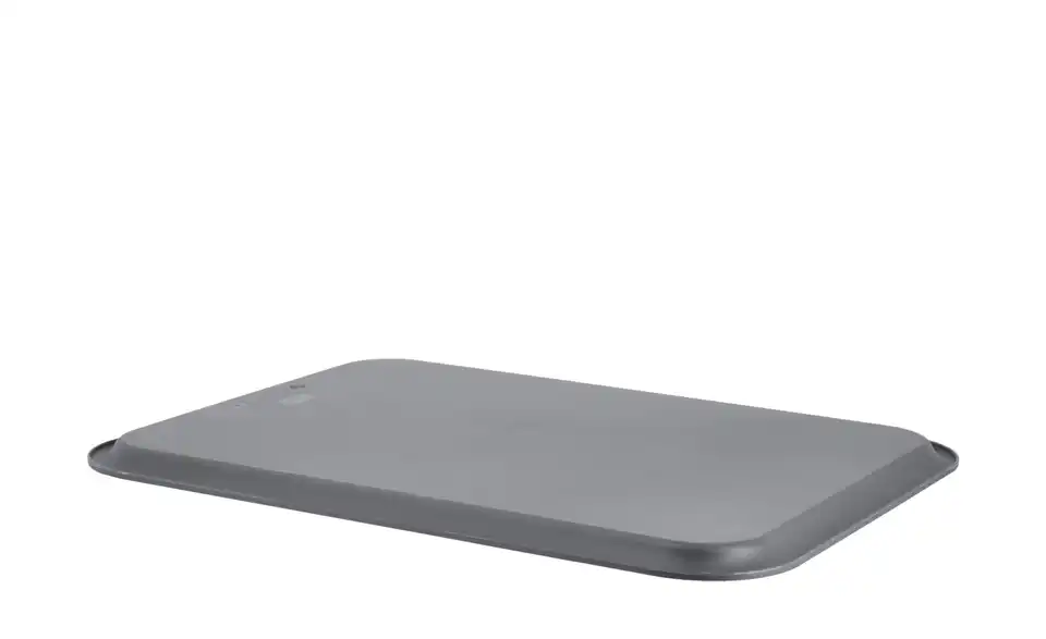 Rotho Deckel für Aufbewahrungsbox 36,5 cm