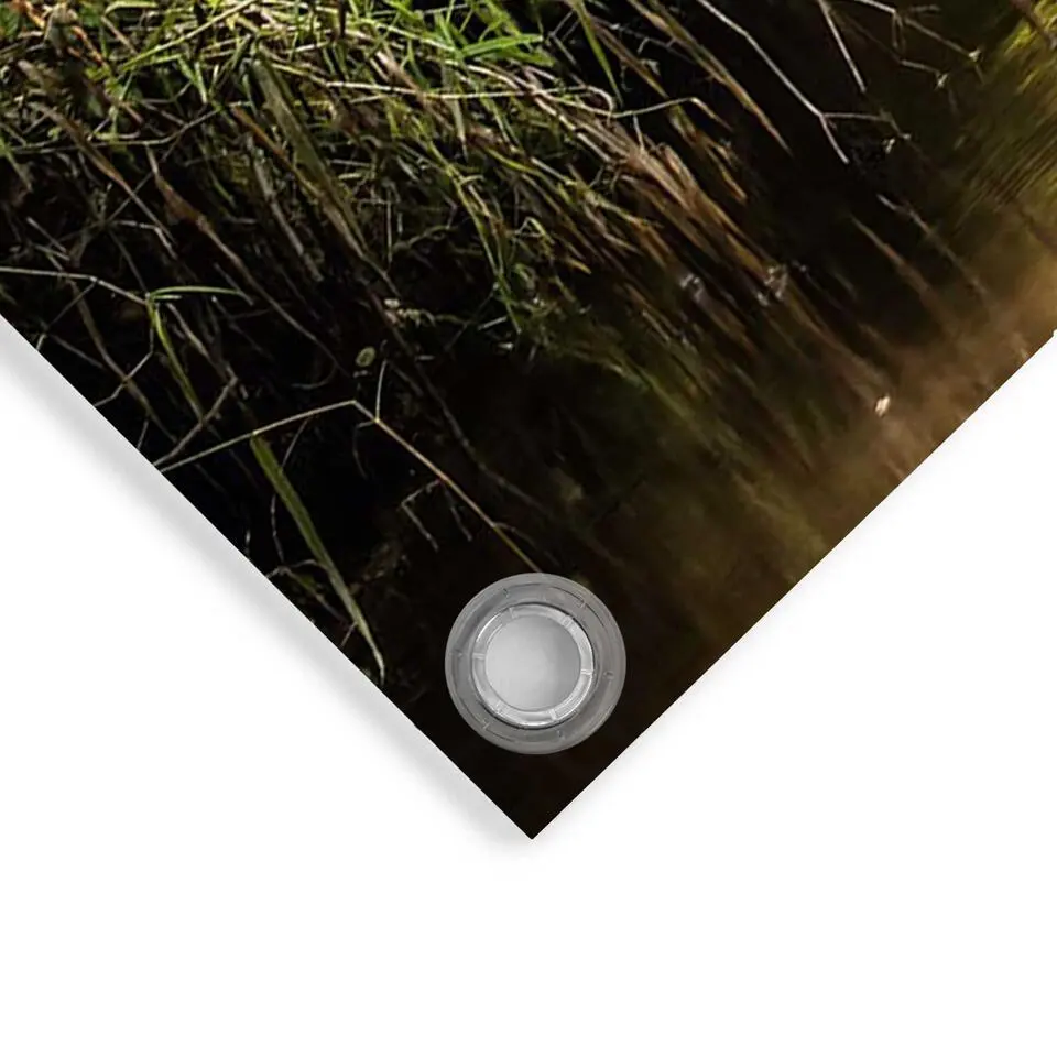 Tuinposter Beek in het bos - 60x80cm - Groen