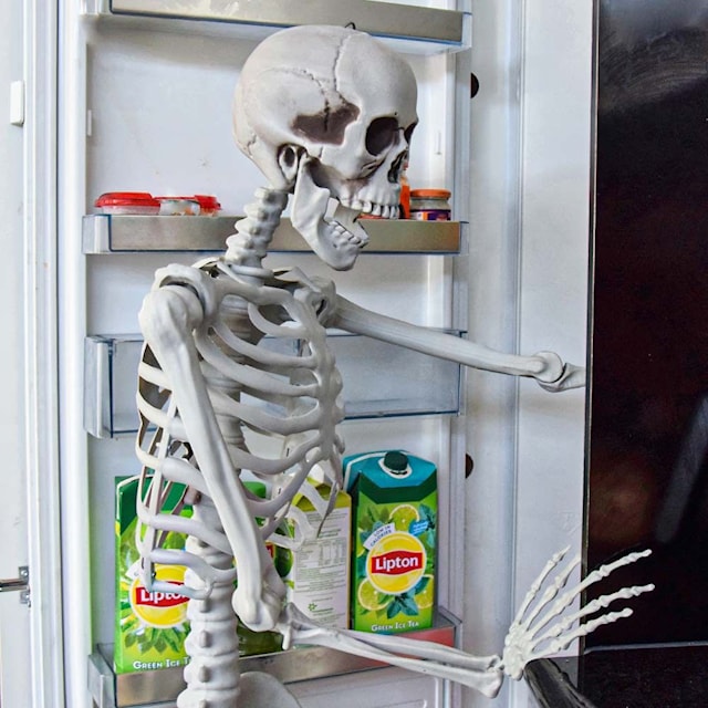 Human-size Skeleton 1.70m
