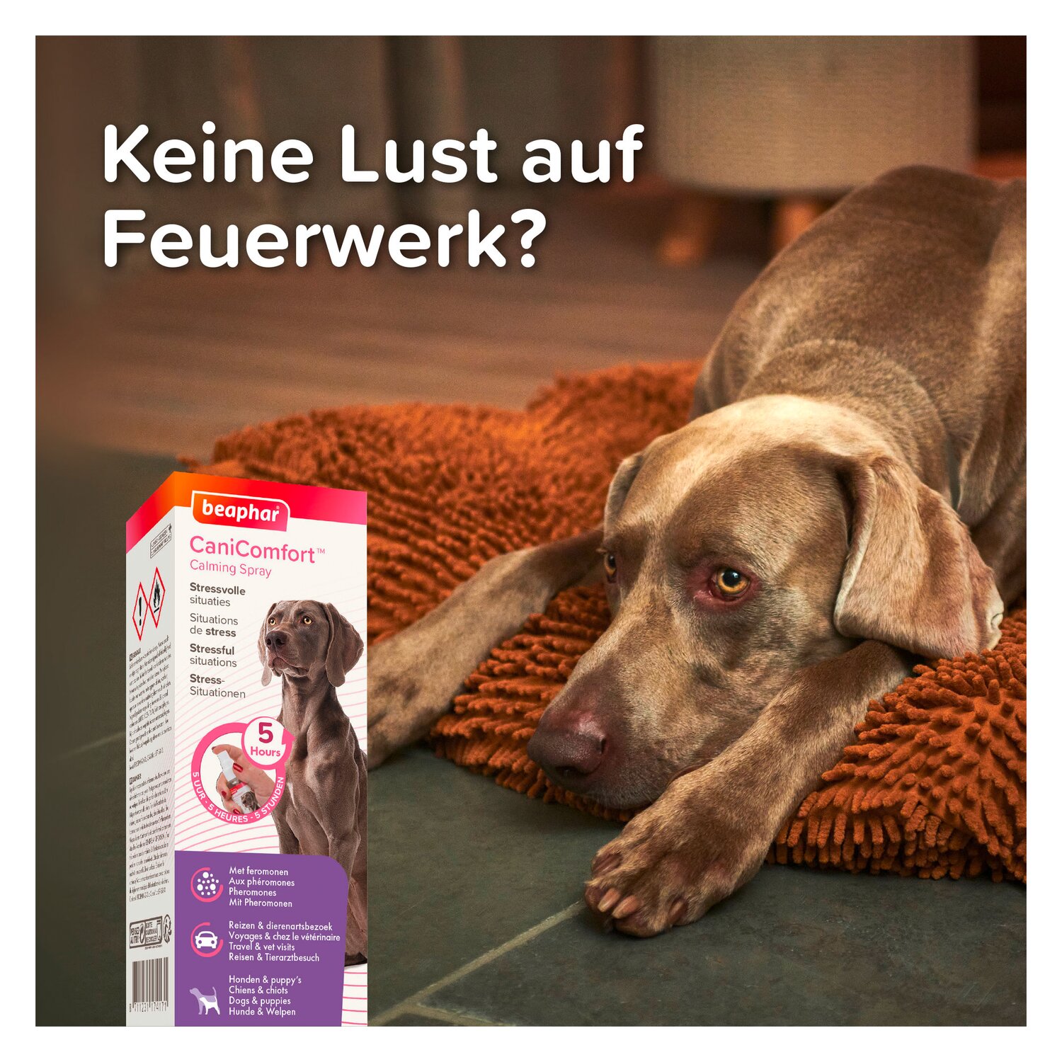 beaphar CaniComfort Wohlfühl-Spray  - 60 ml