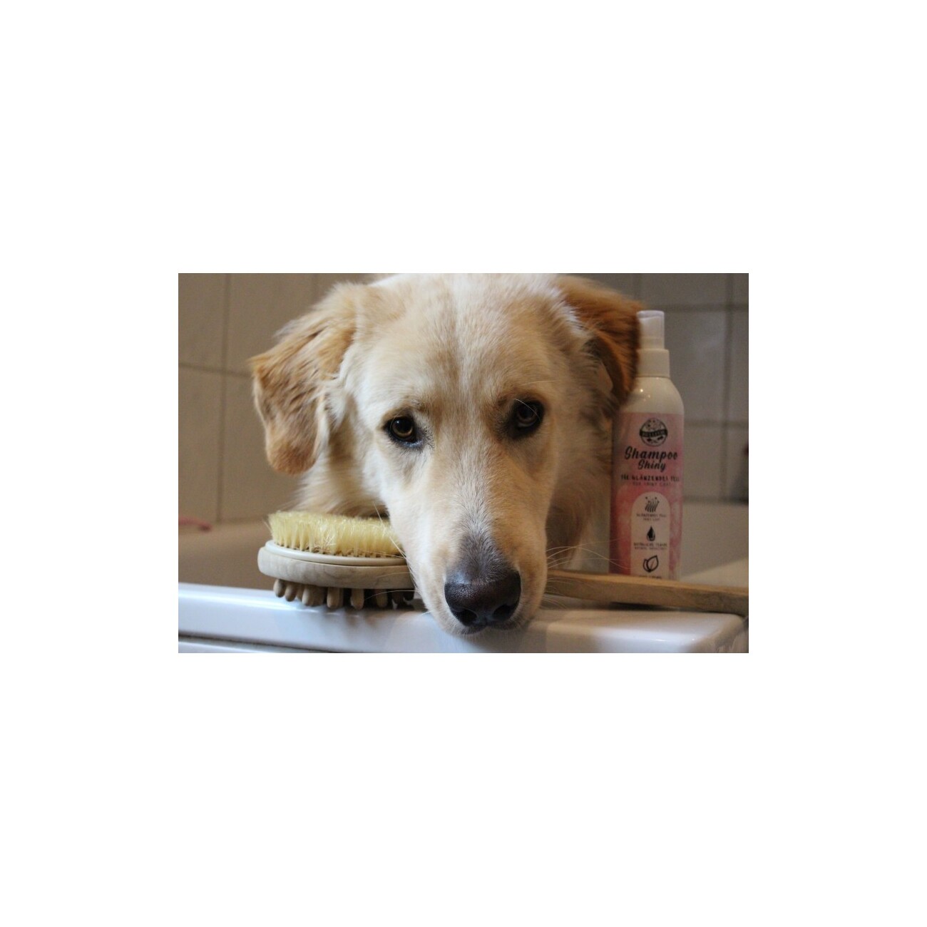Bellfor Hundeshampoo Shiny für glänzendes Fell - 250ml
