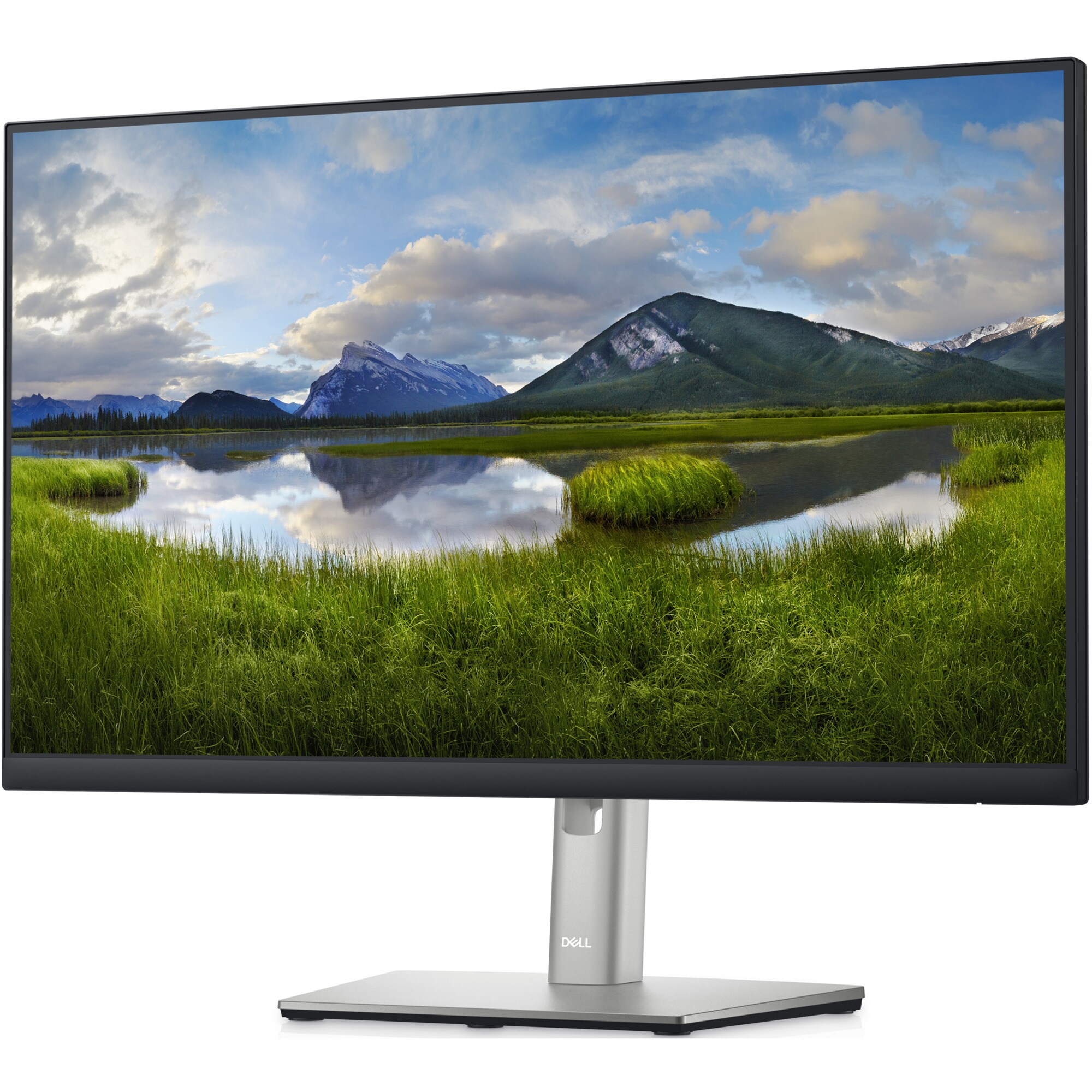 Dell LED-Monitor P2422HE