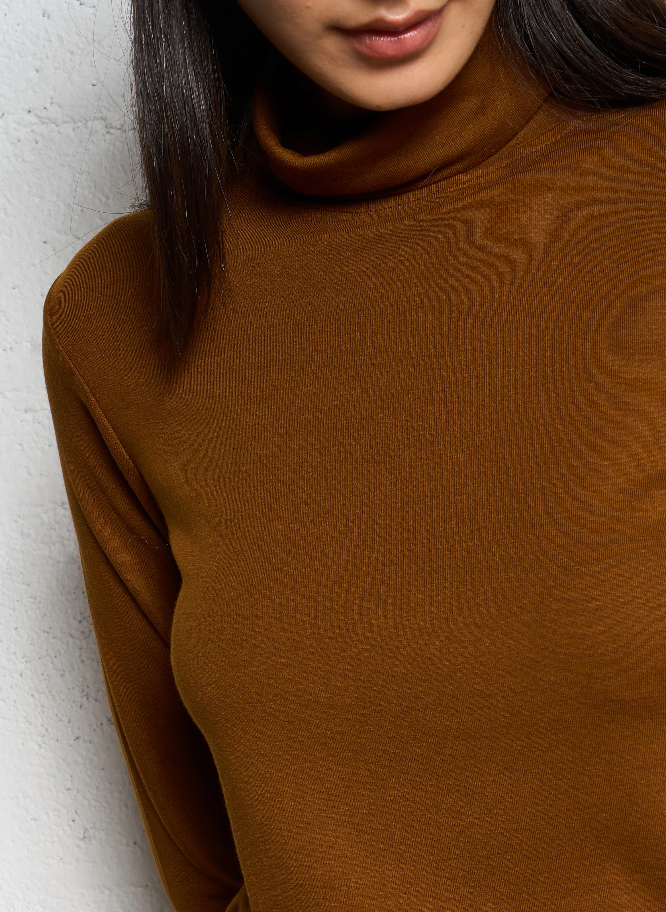 FERGUIE - Tee-shirt droit col roulé | Marron