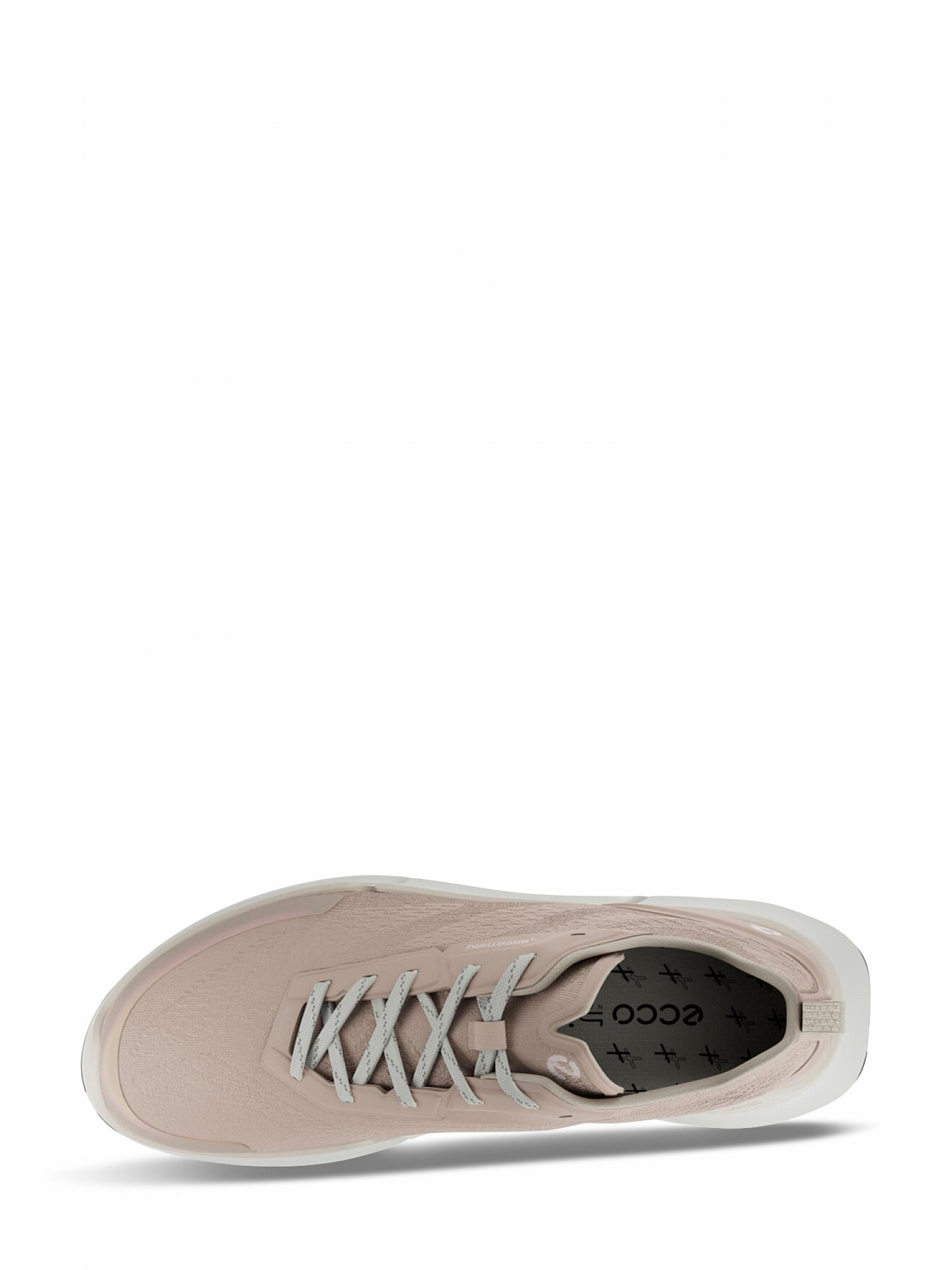 Ecco BIOM 2.2 W