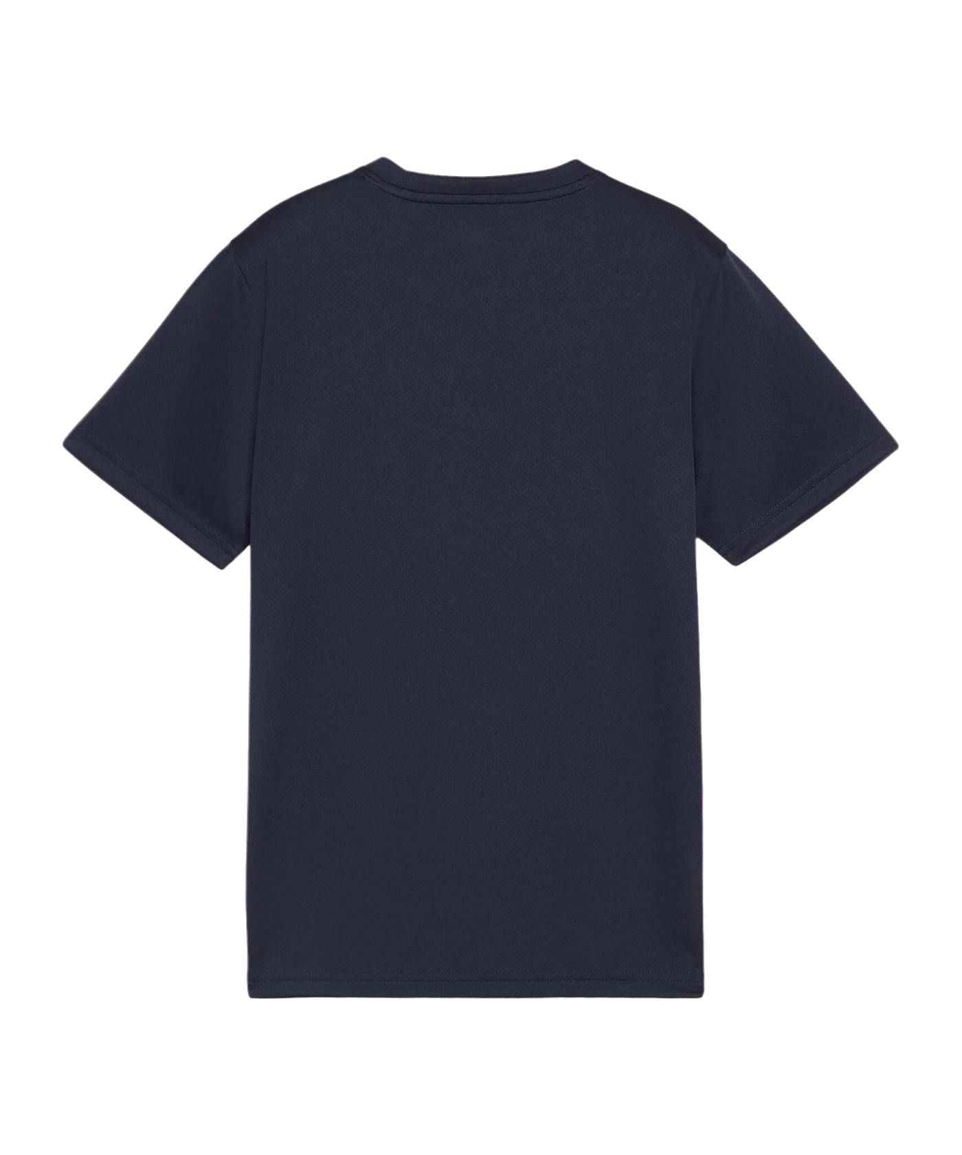PUMA teamGOAL Trikot Kids Blau F06
