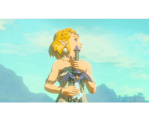 Nintendo The Legend of Zelda: Tears of the Kingdom (Switch 2)