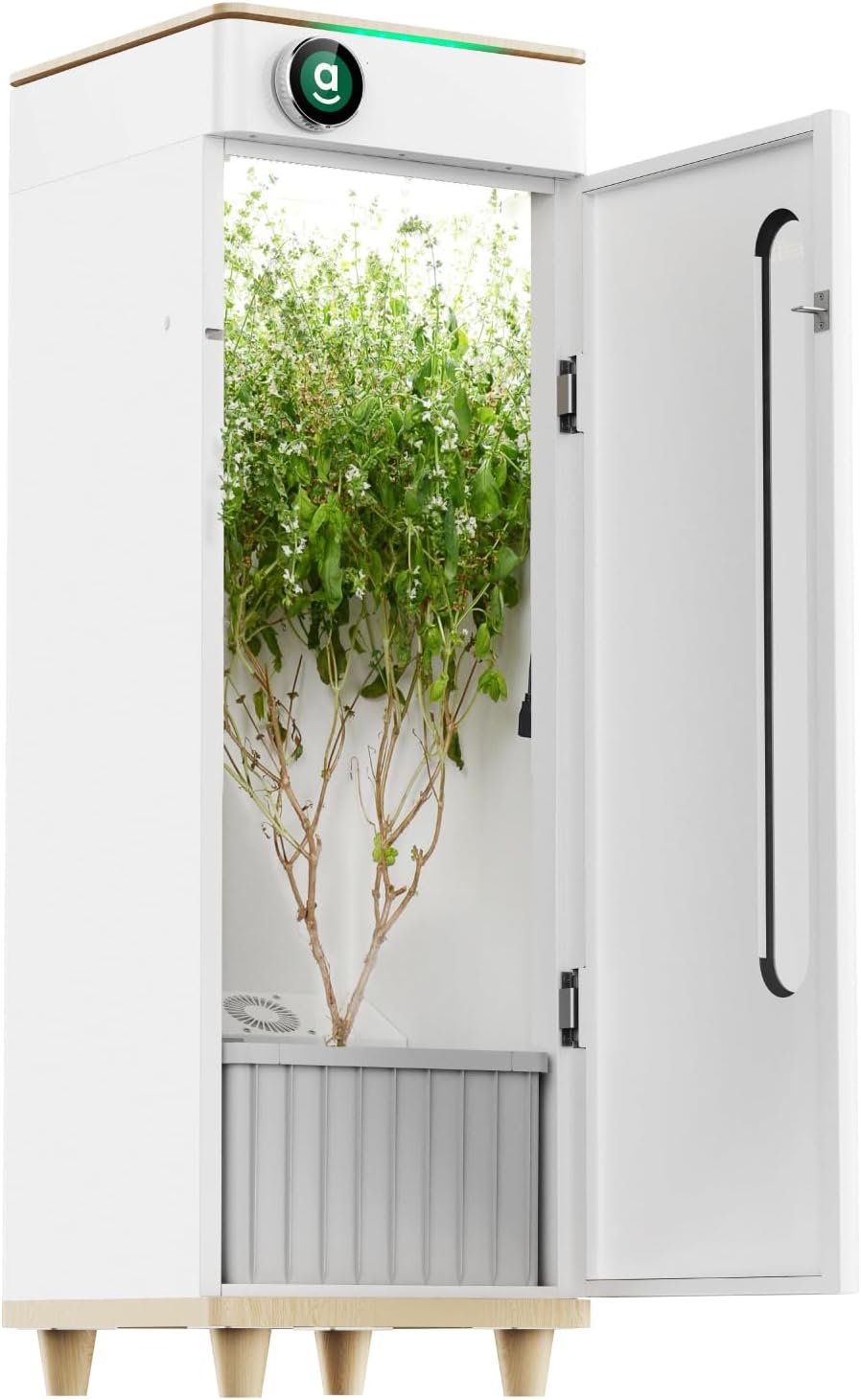 Hey abby OG Pro Smart Grow Box, vollautomatisches komplettes Hydroponisches Anzuchtsystem Indoor Growzelt mit 301H LED-Wachstumslicht und Smart Airfow, kein Zusammenbau nötig, 15,75