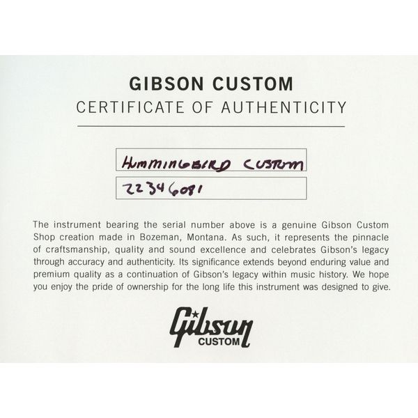 Gibson Hummingbird Custom