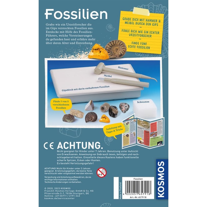 Fossilien - Ausgrabungs-Set - Mitbring-Experimente
