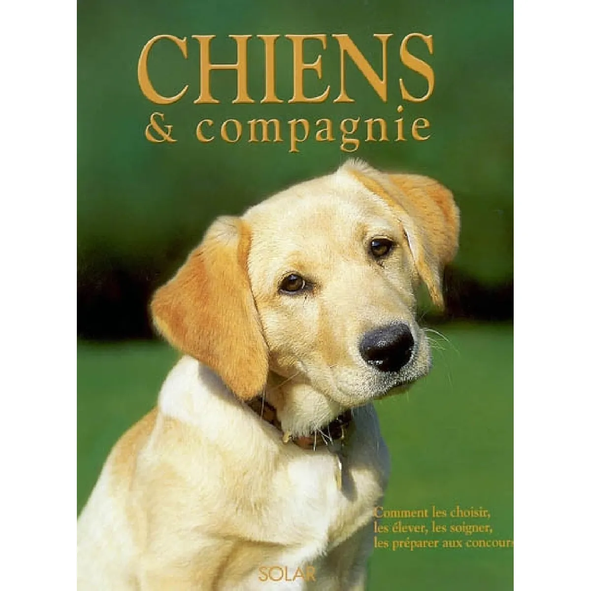 Chiens & compagnie : comment les choisir, les élever, les soigner, les préparer aux concours · Occasion