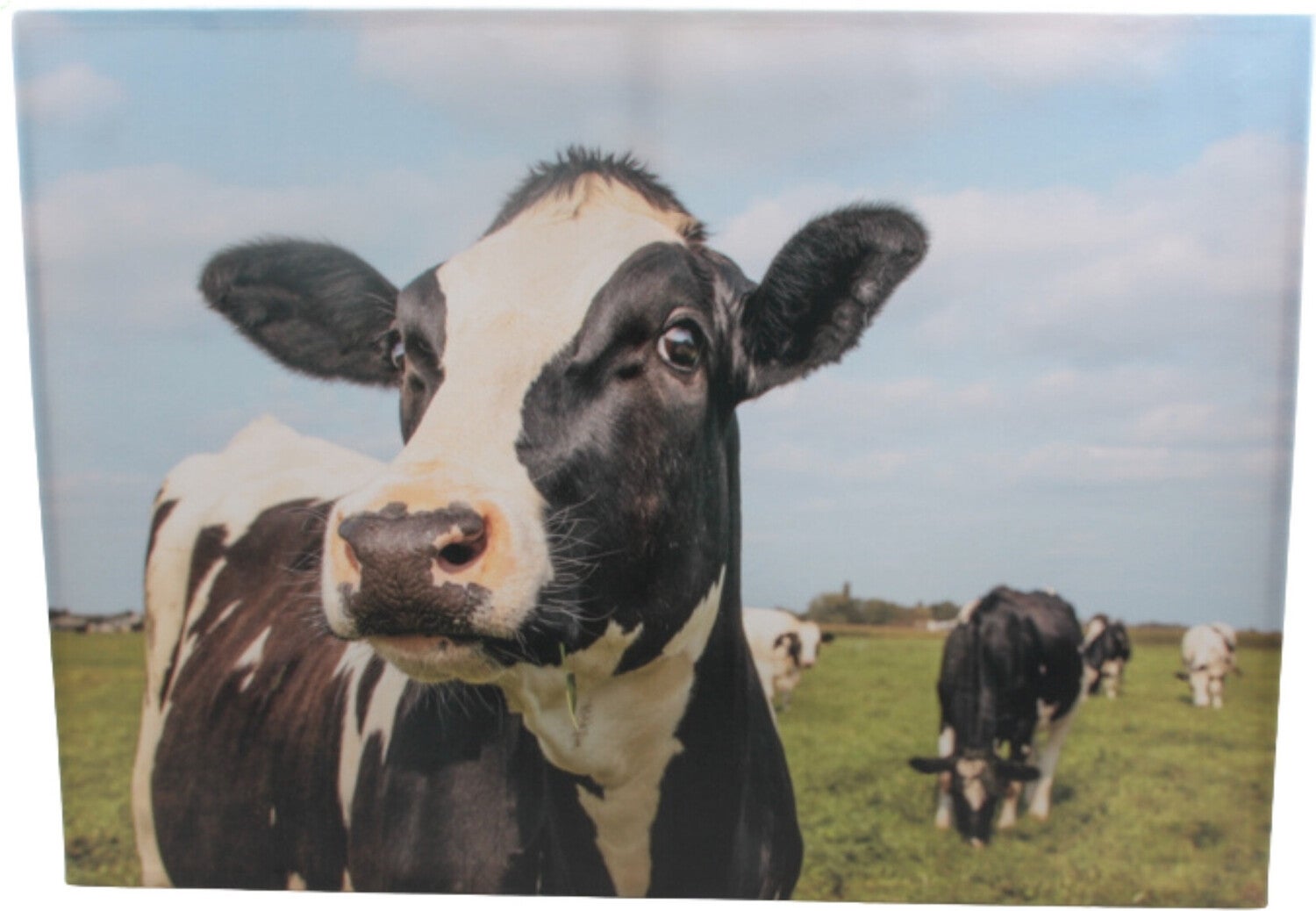 Farmwood Animals tuinschilderij koeien multi 40 x 0,5 x 30 cm