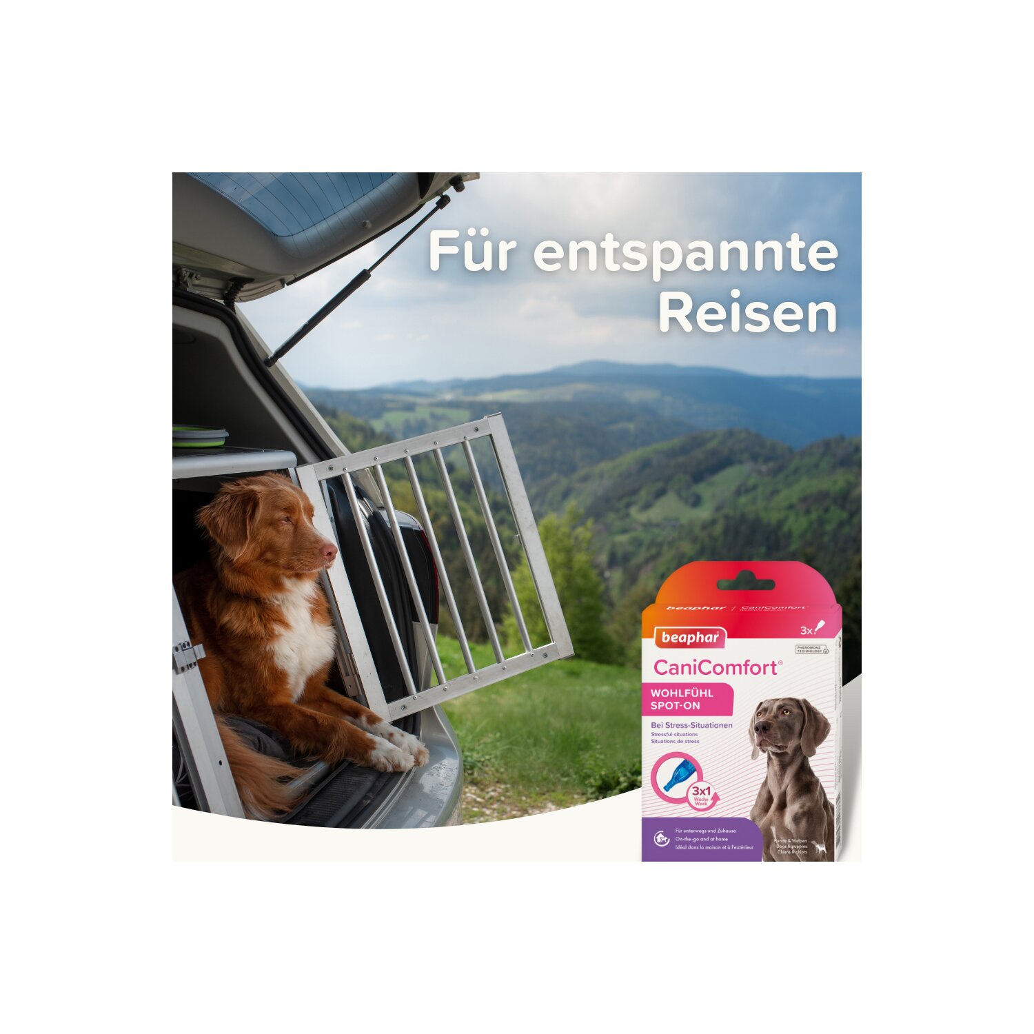 beaphar CaniComfort Wohlfühl Spot-On  - 3 x 1 ml