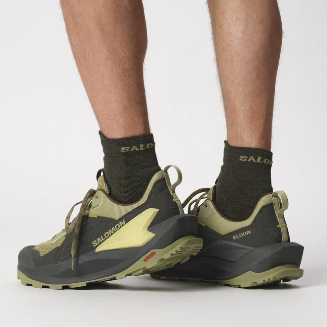 ELIXIR GORE-TEX  Hiking-Halbschuhe Herren