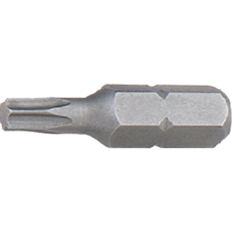 Labor standaardbits TX20x25mm