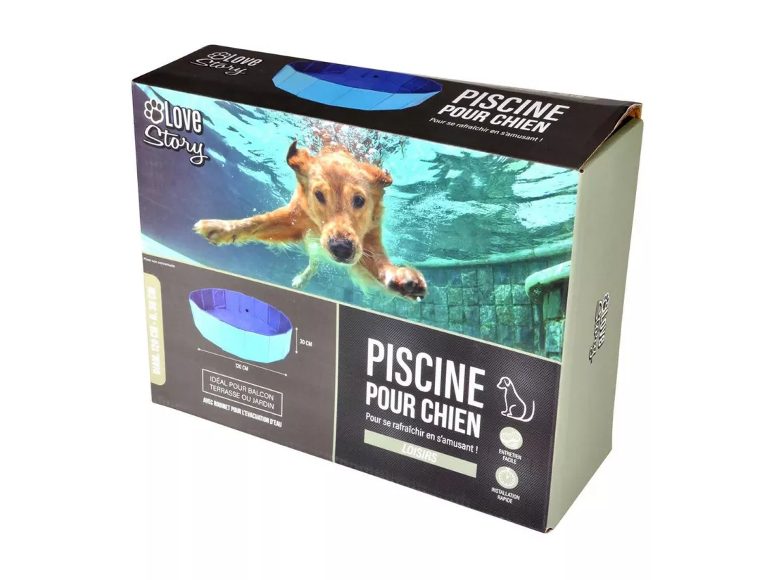 Piscine pour Chien 