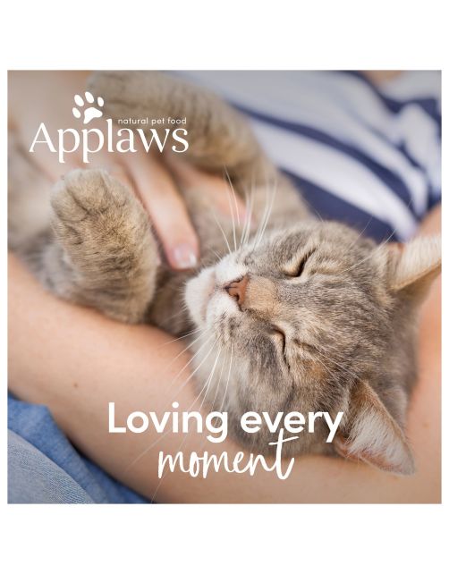 Applaws Cat Kitten - Kitten-Kattenvoer - 400 g