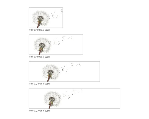 Keukenachterwand mySpotti Profix Paardenbloem 100 x 60 cm PX-10060-1508-HB