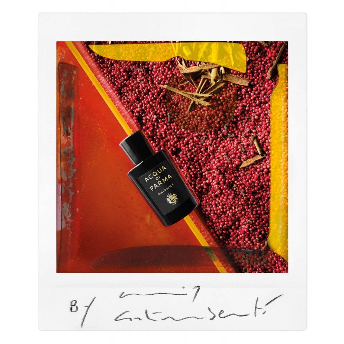 ACQUA DI PARMA Signature Oud &  SpiceEau de Parfum