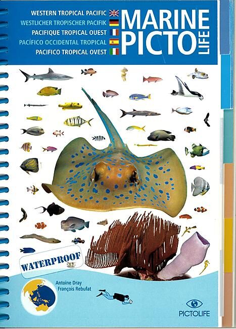 PICTOLIFE - PICTO PACIFIQUE TROPICAL OUEST