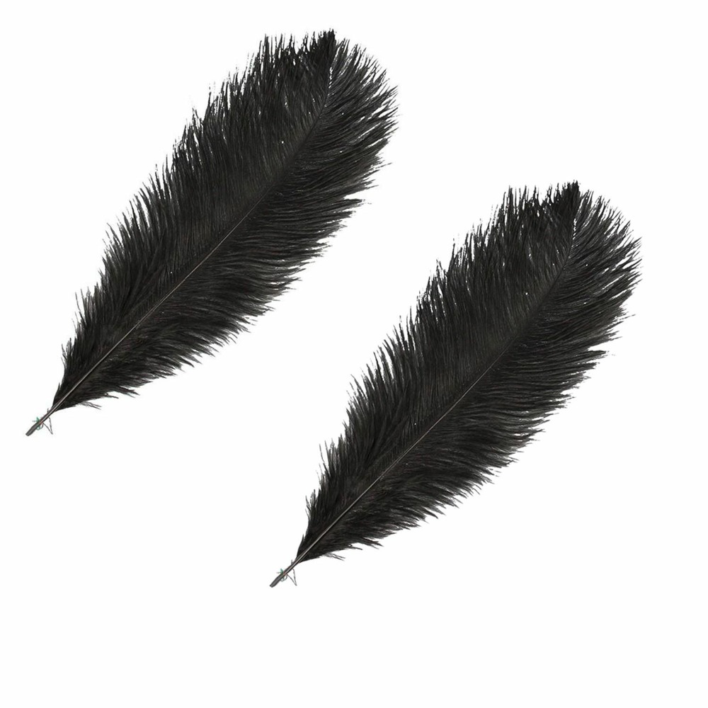 2 plumes d'autruche noires