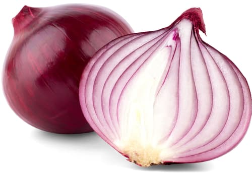 Reinheimer`s Zwiebel rot, Schale