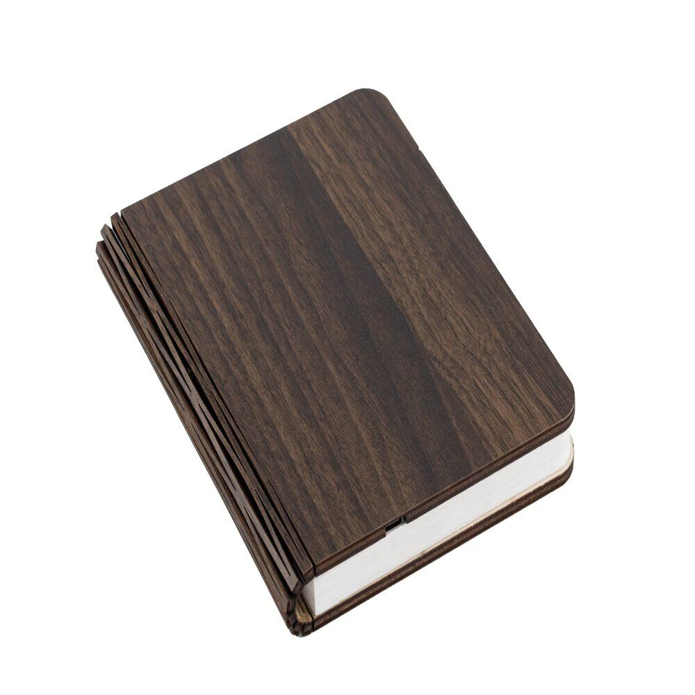 Lampe livre USB en bois 17xH14cm