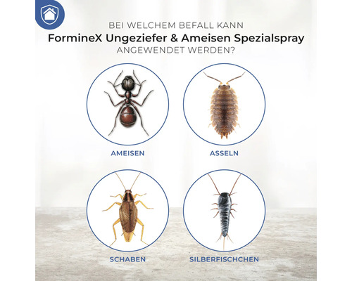Speciale pompspray Protect Home Blattanex 1 L