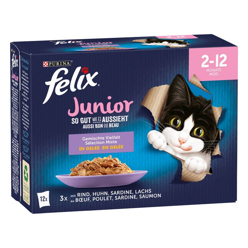 Felix Aussi bon que beau Junior sélection mixte