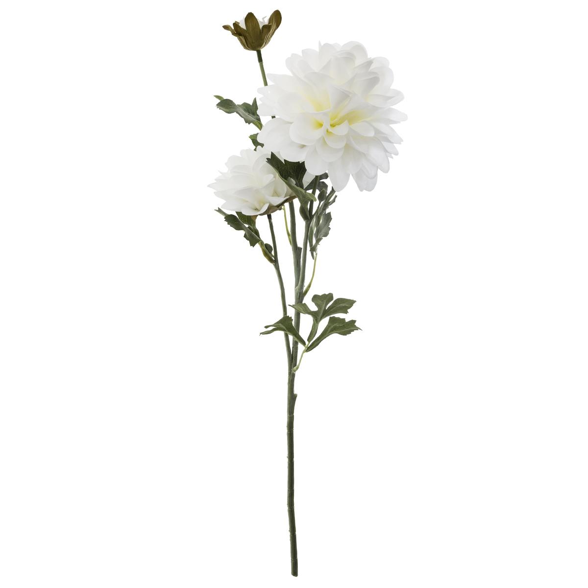 TIGE DAHLIA ILYS BLANC H.62CM