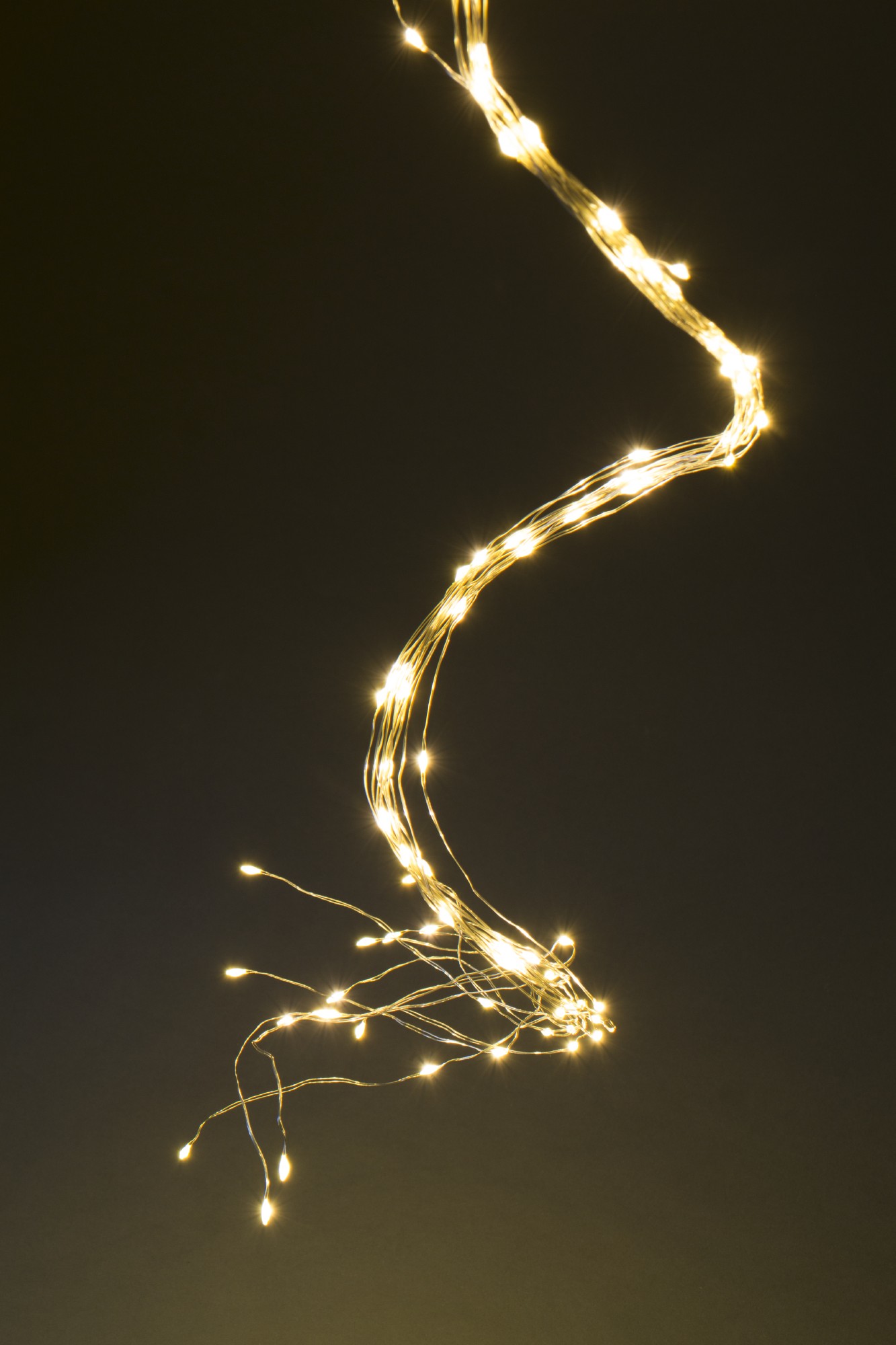 Indoor & Outdoor Lichterschnur 'Lumois', 125 LED, 13 Strippen, 100 cm von fischer's lagerhaus