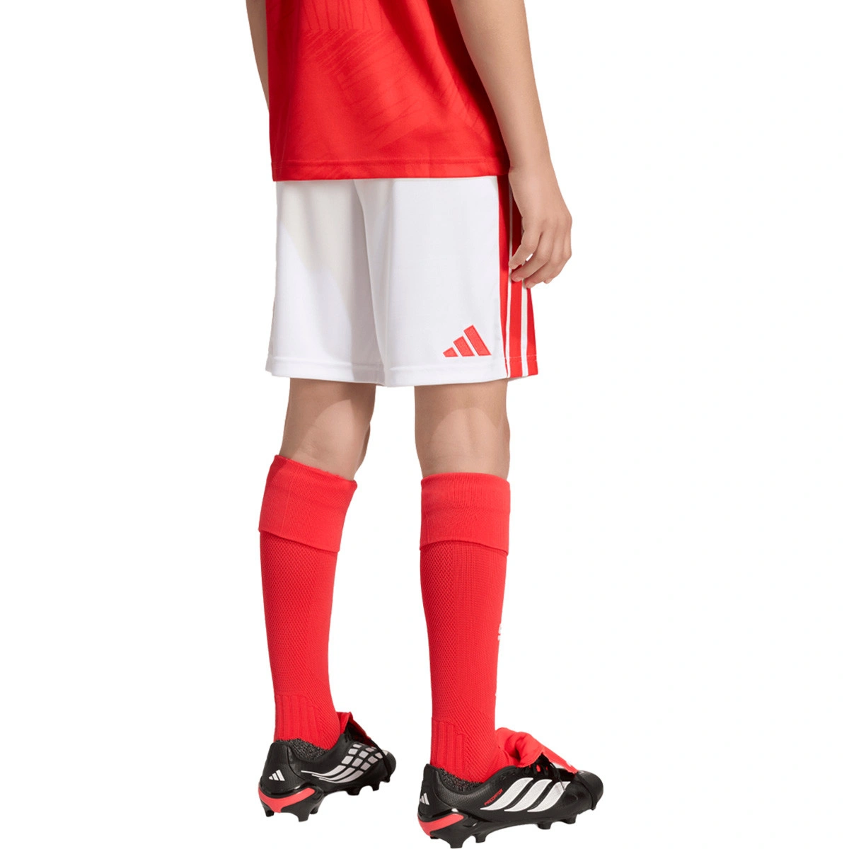Calções adidas SL Benfica Primeiro equipamento 2026-2027 Criança