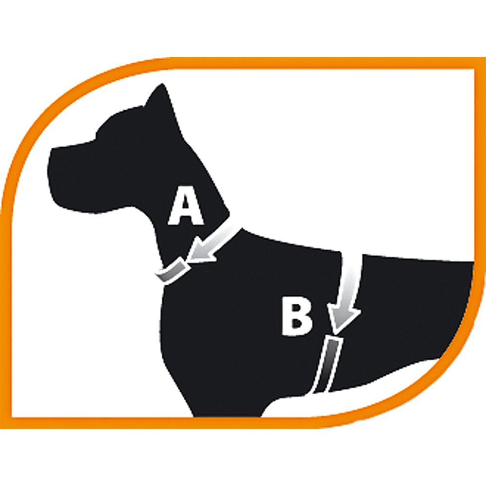 Harnais pour chiens petite taille daytona cross s, réfléchissant, avec boucle magnétique