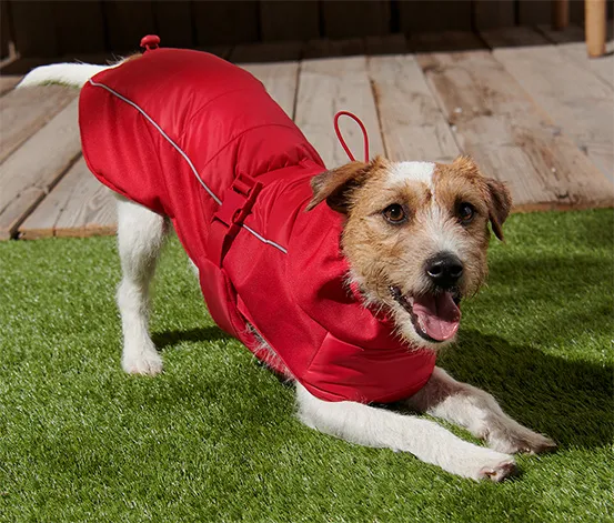 Hundejacke