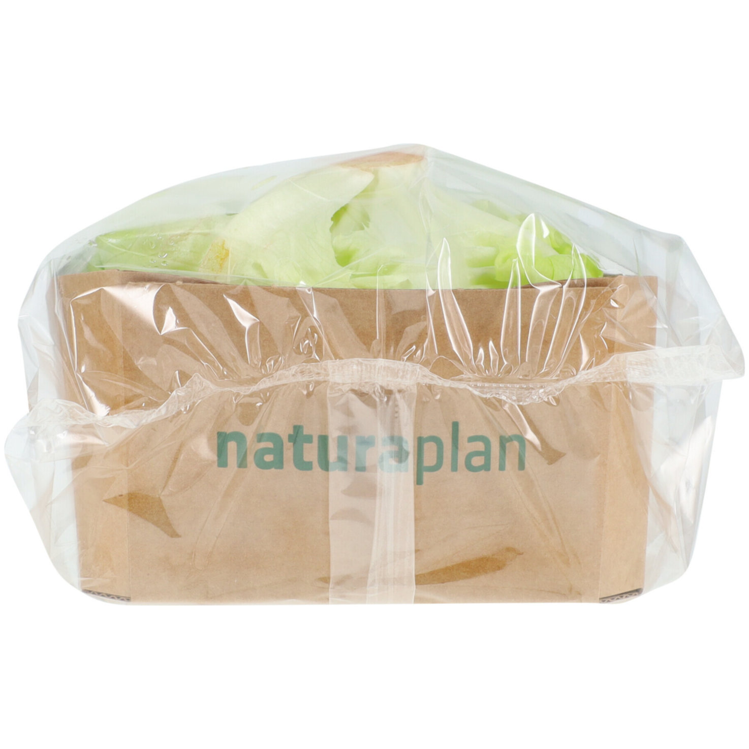 Naturaplan Bio Kopfsalatherzen 2 Stück -