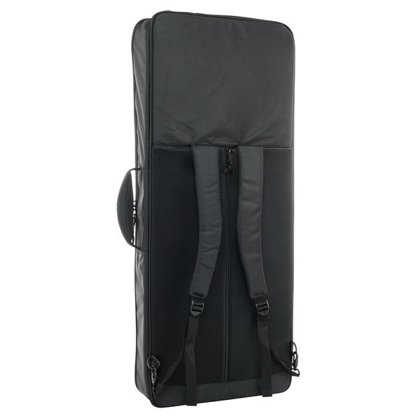 Analog Cases Sustain Case 49