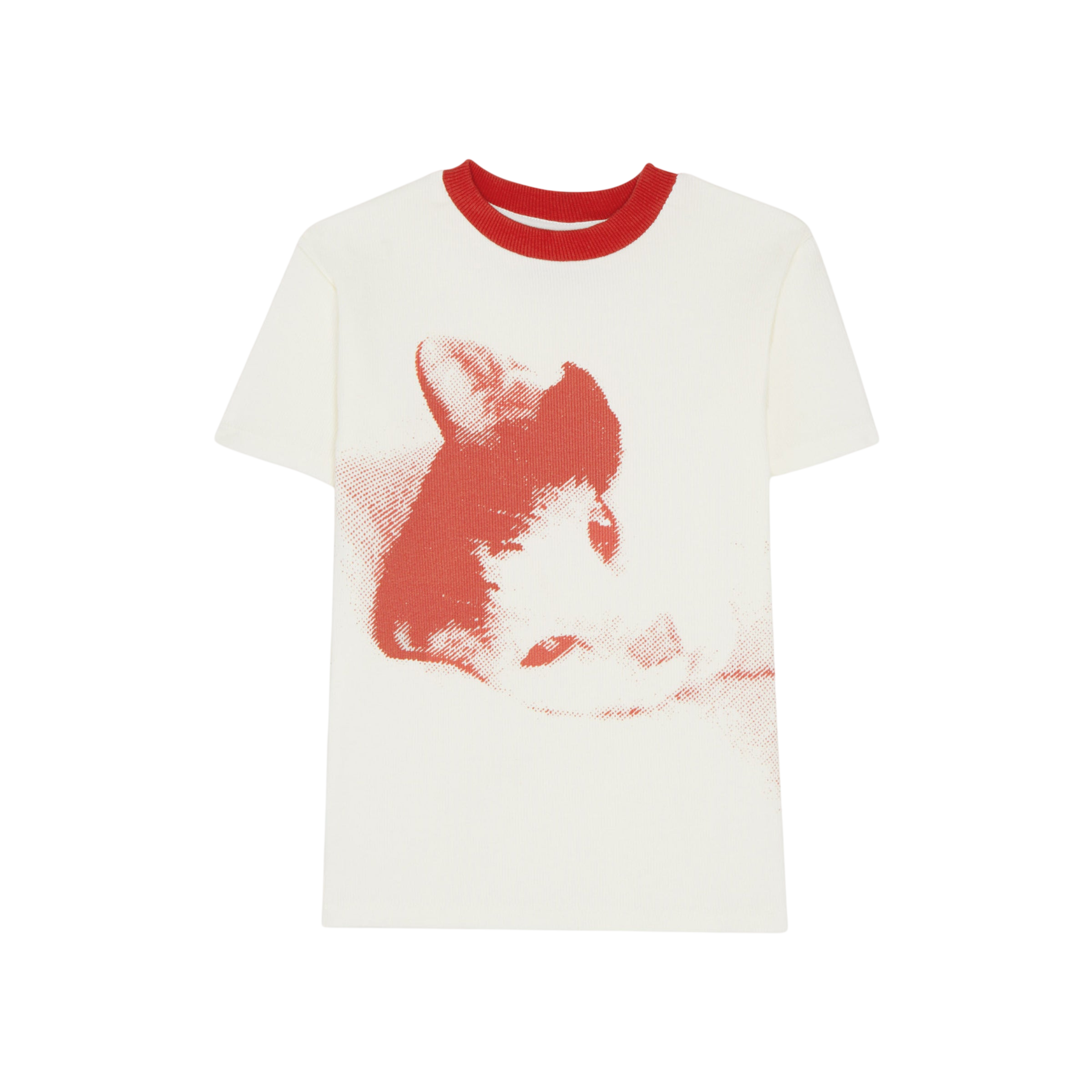 T-Shirt Paco the Cat Ecru