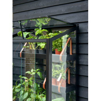 Royal Well City Garden balkon serre
