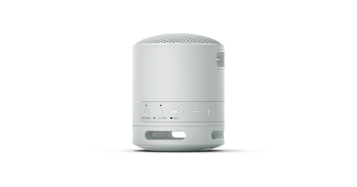 SonySRS-XB100 draagbare draadloze speaker luidspreker  (Grijs, Bluetooth 5.3)