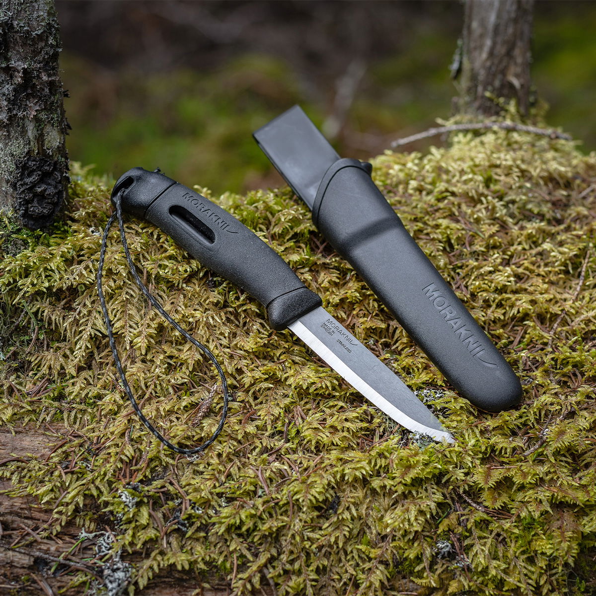 Morakniv Companion Spark (S) + Tændstål