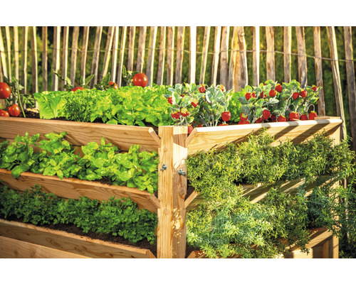 Premium verhoogde tuinbak WESTMANN maat XXL 124 x 91 x 73 cm naturel